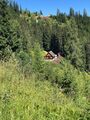Wildbachhütte-40005-2022-08-03.jpg