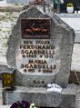 Sgardelli ferdinand-3100-2018-04-23.jpg