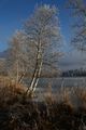 Putterersee - winter 17082 2013-12-23.jpg