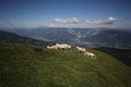 Schafe am gumpeneck 53347 2017-07-05.jpg