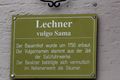 Lechner v sama -obersdf 44730 2017-05-04.jpg