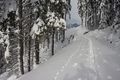 Winterwanderweg 2013-01-08 4267.jpg