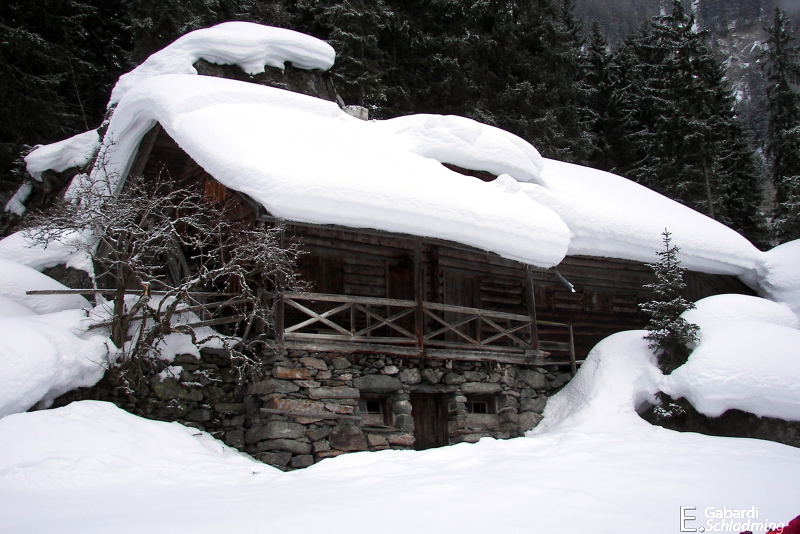 Datei:Lackneralm0208.jpg