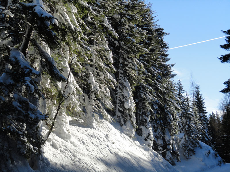 Datei:Winderwanderweg4.jpg