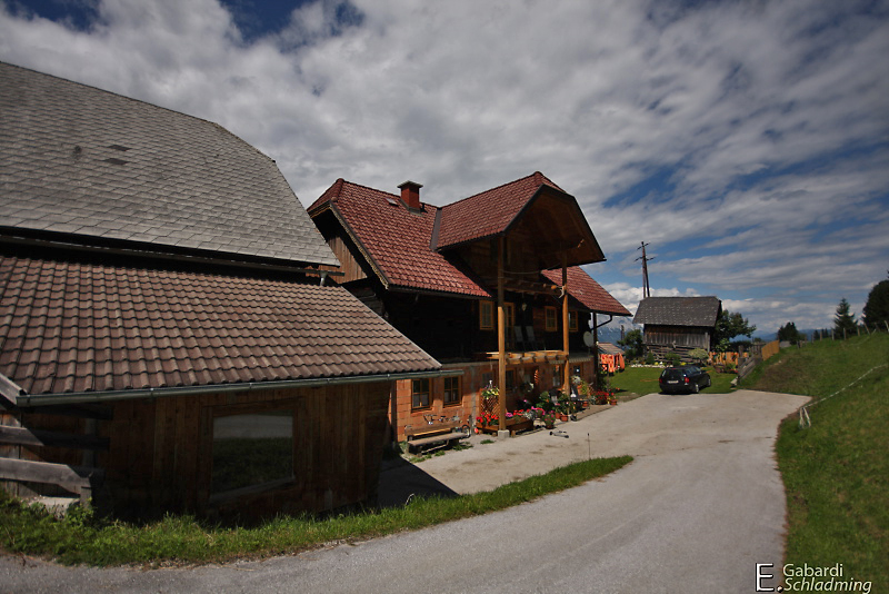 Datei:Engler0012.jpg