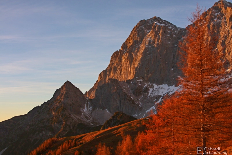 Datei:Tor6124.jpg