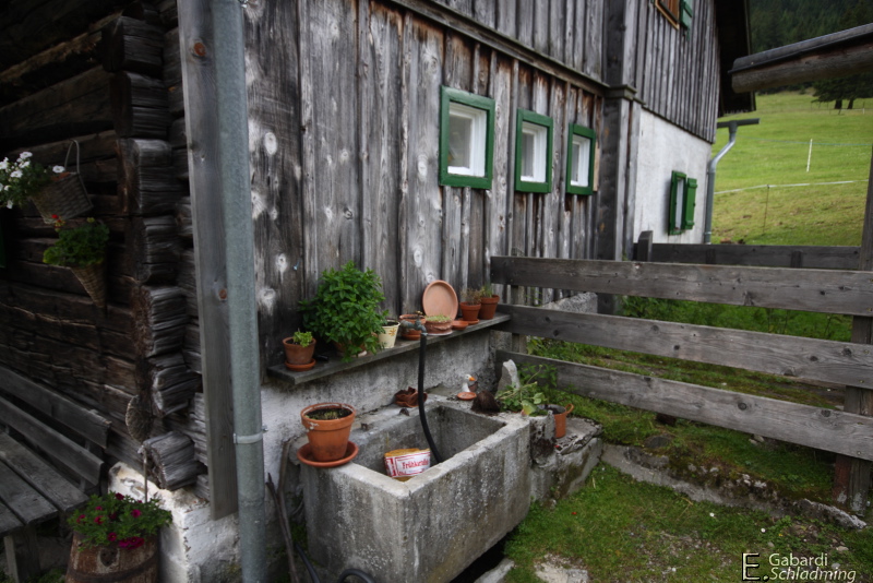 Datei:Perneralm0004.jpg