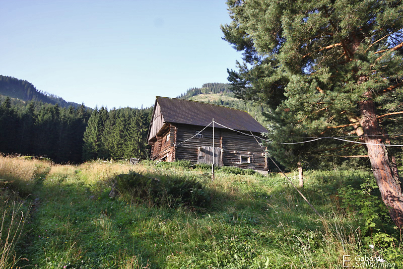 Datei:Wolfn0006.jpg