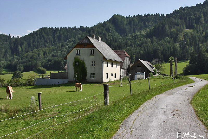 Datei:Reitbauer0001.jpg