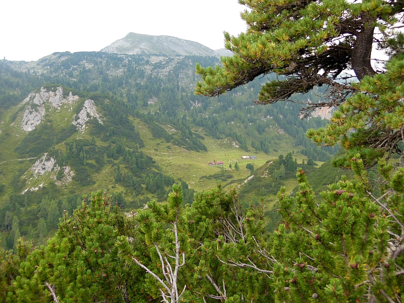 Datei:Grafenbergalm mit Kufstein.jpg