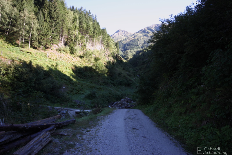 Datei:Rainer0002.jpg