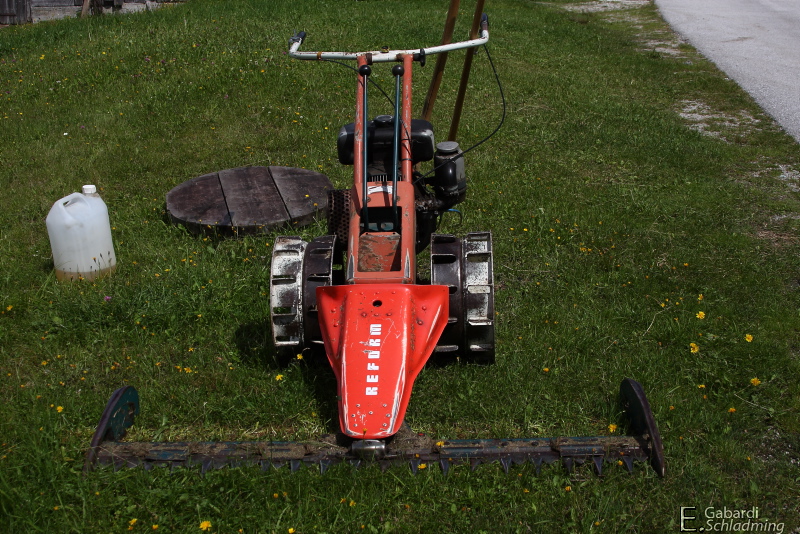 Datei:Engler0004.jpg