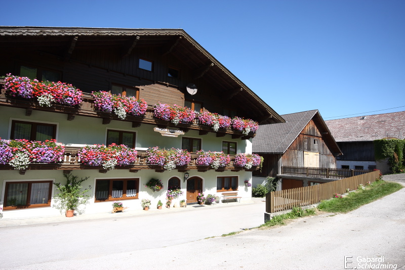 Datei:Oberfuchs0002.jpg