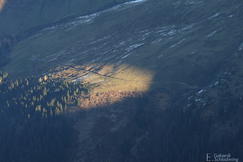 Datei:Mahdfeld0670.jpg