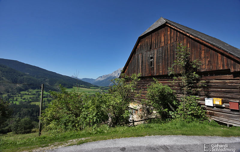 Datei:Weisl0003.jpg