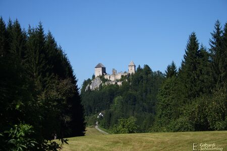 Gallenstein von Erb gesehen