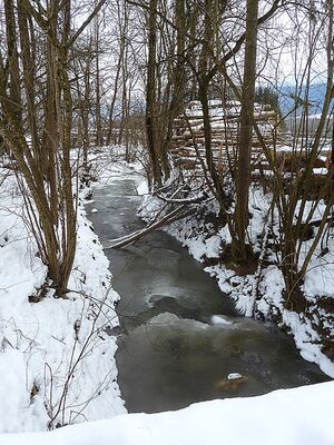 Retschitzbach0001.JPG