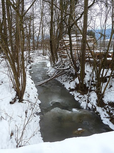 Datei:Retschitzbach0001.JPG