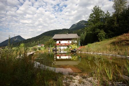 Hof mit Biotop
