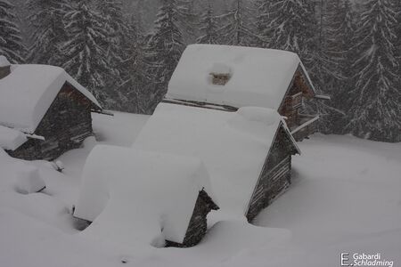 Winter 2013