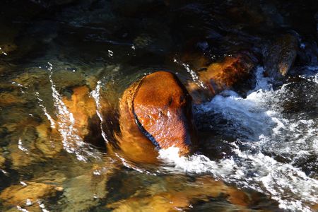 Der Talbach-Bär in der Talbachklamm in Schladming