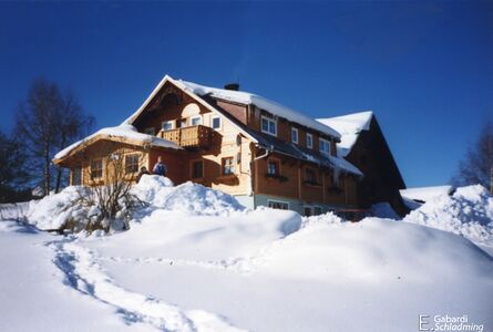 Winter 1999