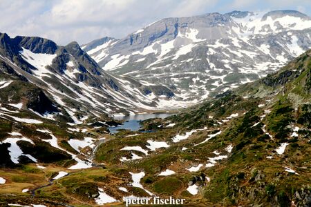Frühlingserwachen