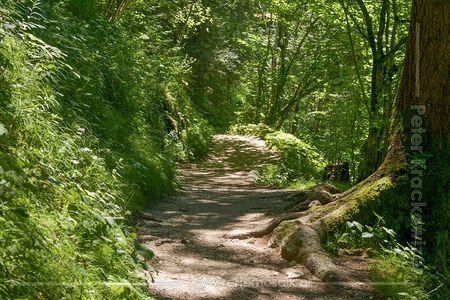 Am Südostufer am Weg zurück ins Ortszentrum