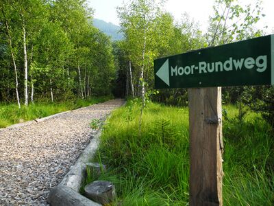 Der Moor-Rundweg