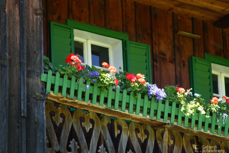 Datei:Hopfgartner kleinsölk 0351.jpg