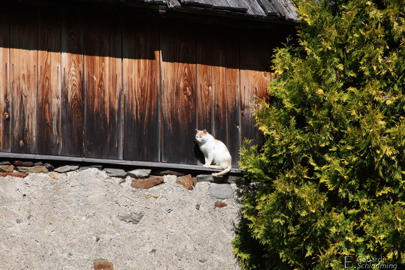 Datei:Lemmerer vlg brem0010.jpg