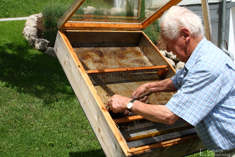 Datei:Steinachnerhof 7110.jpg