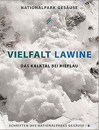 Vielfalt Lawine, Band 6.jpg