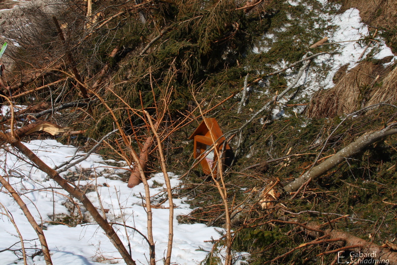 Datei:Lawine riesach9613.jpg