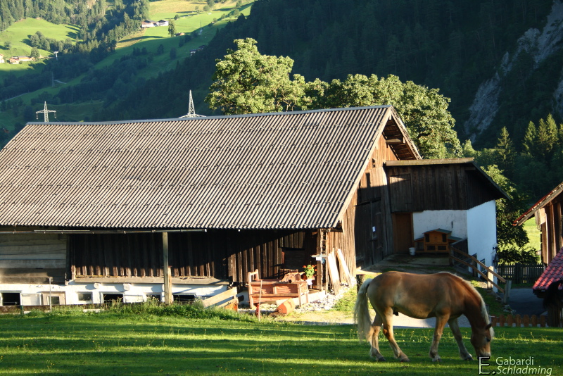 Datei:Saumerhof 8763.jpg