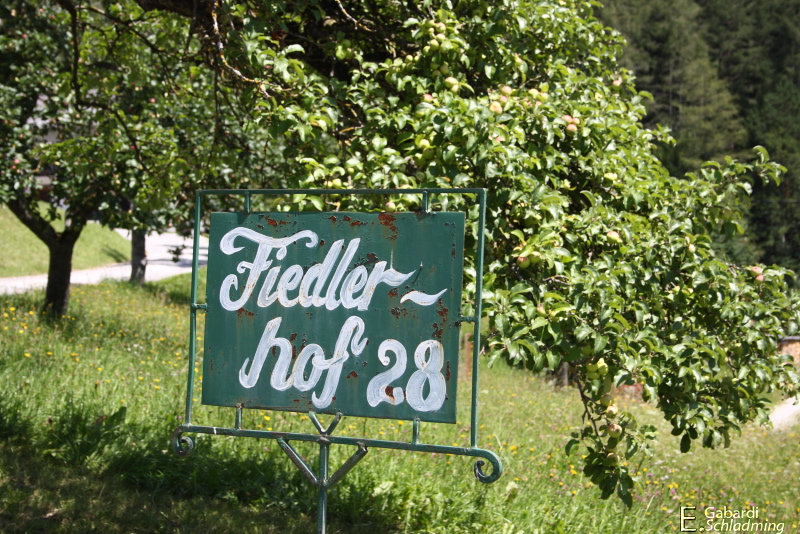 Datei:Fiedlerhof-nussndörfl 3294.jpg