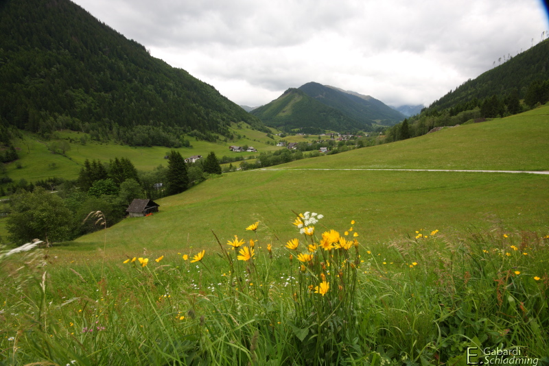 Datei:Grosssölk 5656.jpg