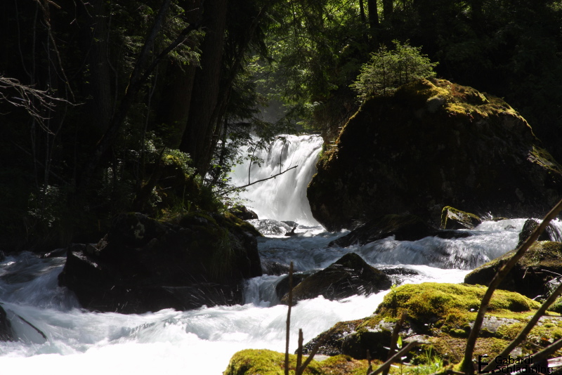 Datei:UntertalbachIMG 1933.jpg