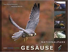 Drei farben gesäusebuch.jpg