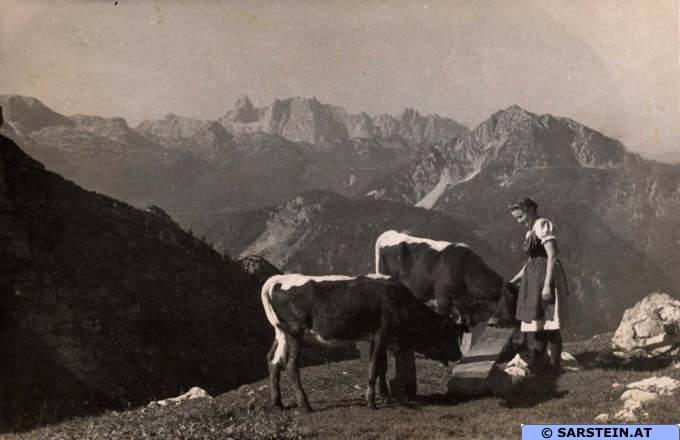 Datei:Sarsteinalm sw 007.jpg