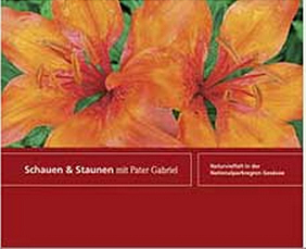 Datei:Schauen und Staunen mit Pater Gabriel.jpg