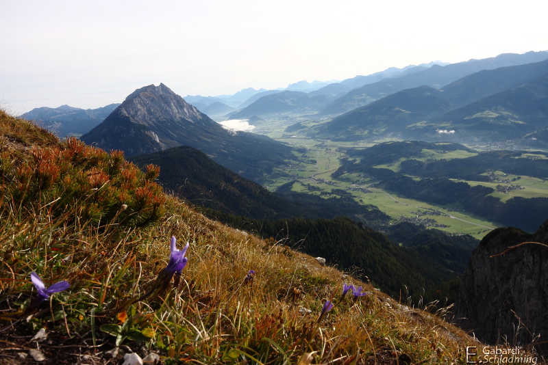 Datei:Kammspitze8397.jpg