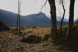Altaussee seewiese 79057 2014-11-15.jpg