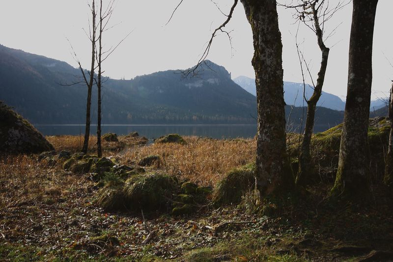 Datei:Altaussee seewiese 79057 2014-11-15.jpg