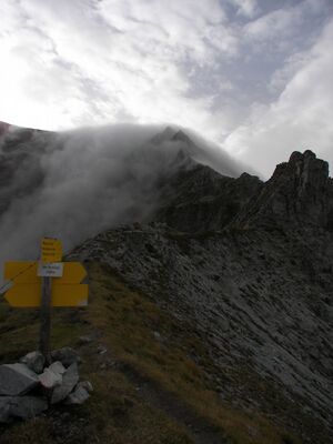 Brotrinnl 18501 2006-09-25.jpg