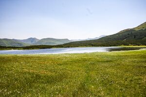 Goldbachsee 1661 13-08-05.jpg