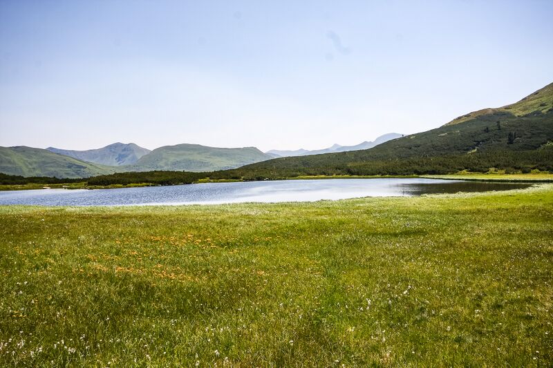 Datei:Goldbachsee 1661 13-08-05.jpg