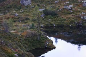 Griegelsee großsölk 71649 2014-09-16.jpg