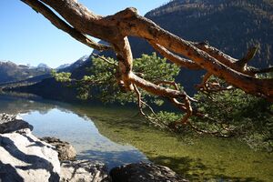 Grundlsee See 77901 2014-11-03.jpg