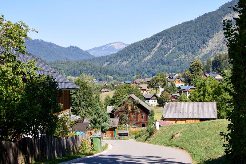 Datei:Im Nöckl puchen-714-2026-08-13.jpg